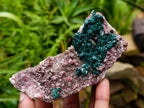 Natural Salrose Cobaltion Dolomite With Malachite And Heterogenite Specimens x 3 From Kakanda, Congo