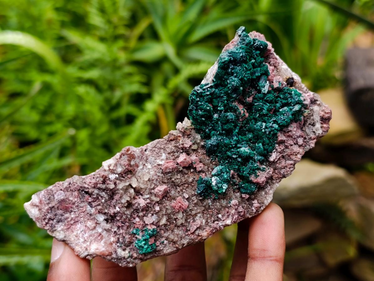 Natural Salrose Cobaltion Dolomite With Malachite And Heterogenite Specimens x 3 From Kakanda, Congo