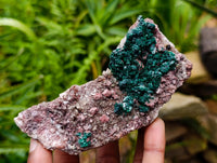 Natural Salrose Cobaltion Dolomite With Malachite And Heterogenite Specimens x 3 From Kakanda, Congo