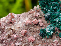 Natural Salrose Cobaltion Dolomite With Malachite And Heterogenite Specimens x 3 From Kakanda, Congo