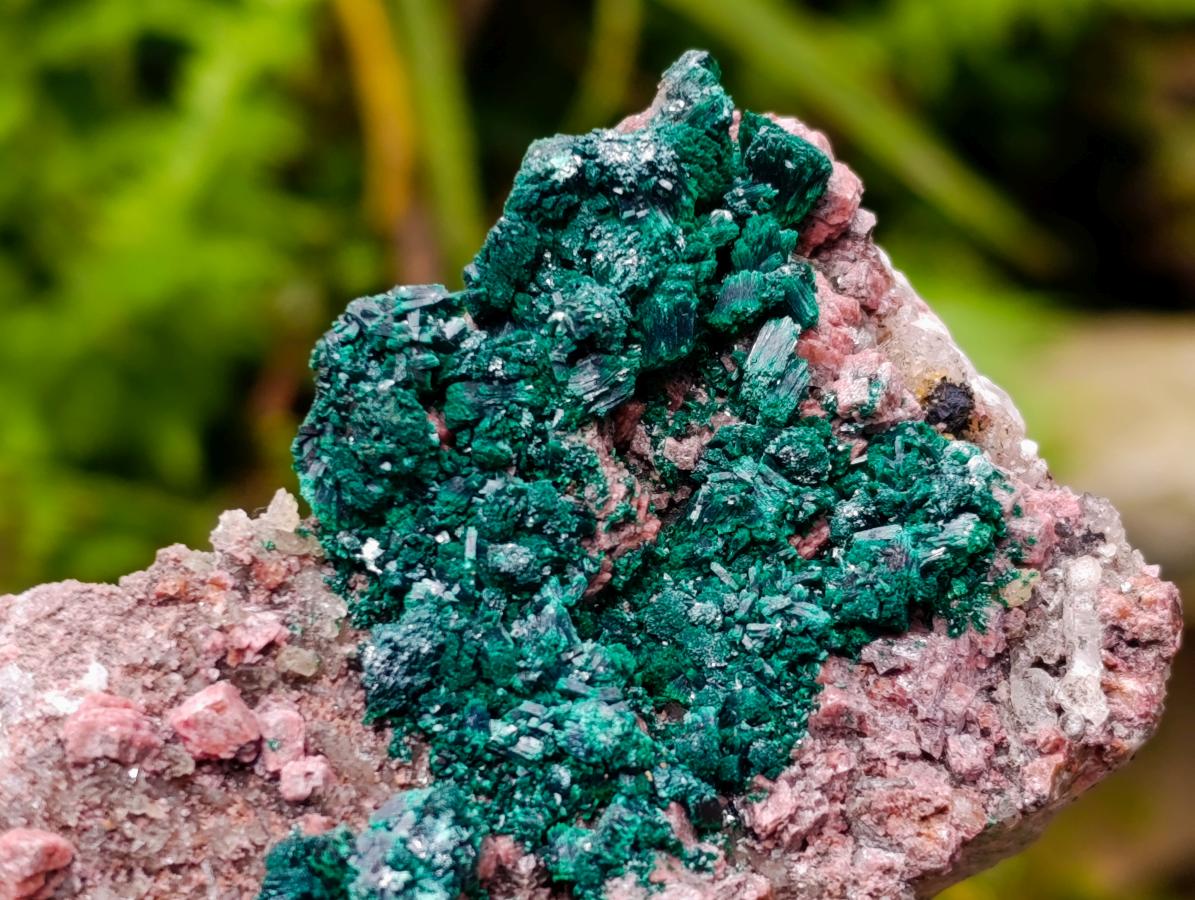 Natural Salrose Cobaltion Dolomite With Malachite And Heterogenite Specimens x 3 From Kakanda, Congo