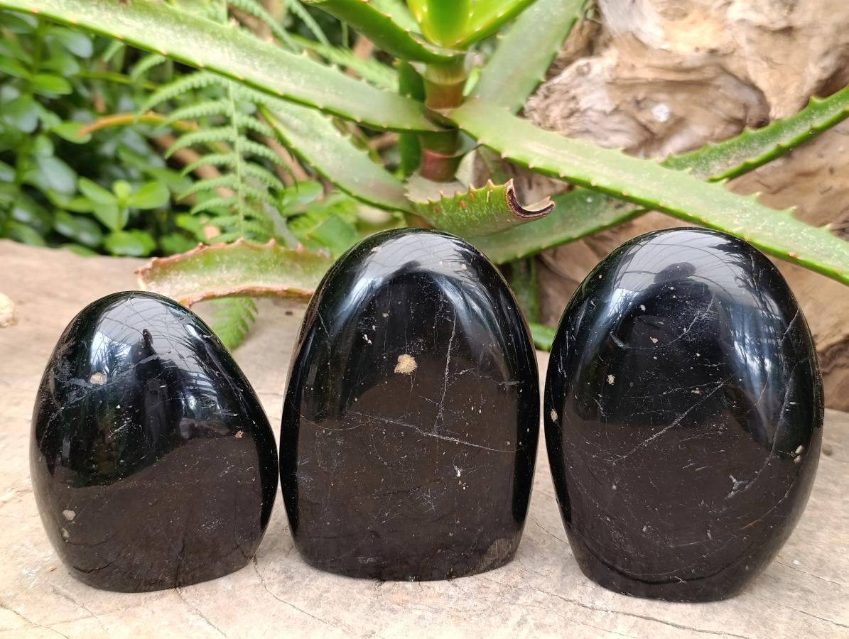 Polished Black Tourmaline Standing Free Forms x 3 From Madagascar