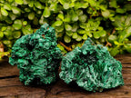Natural Silky Malachite Specimens x 6 From Kasompe, Congo