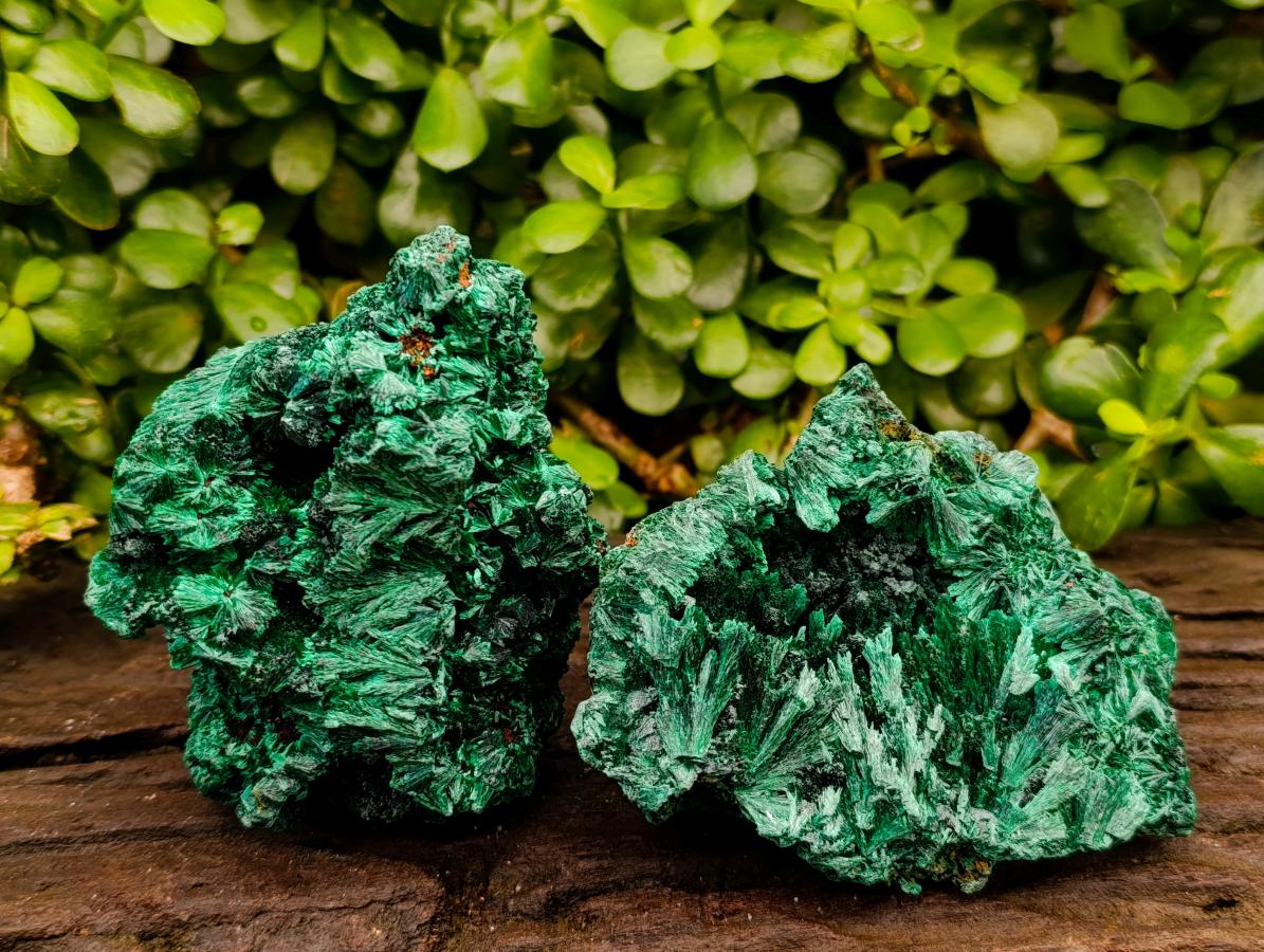 Natural Silky Malachite Specimens x 6 From Kasompe, Congo