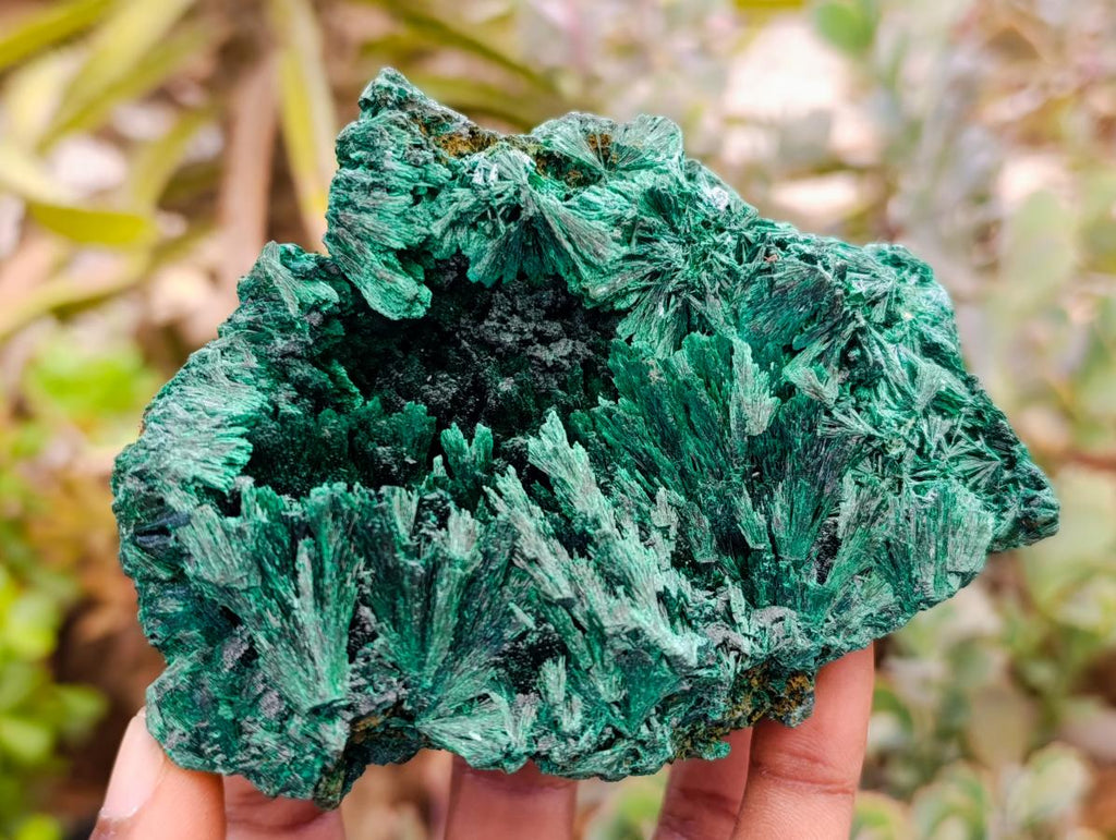 Natural Silky Malachite Specimens x 6 From Kasompe, Congo