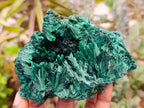 Natural Silky Malachite Specimens x 6 From Kasompe, Congo