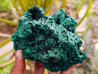 Natural Silky Malachite Specimens x 6 From Kasompe, Congo