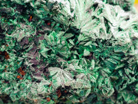 Natural Silky Malachite Specimens x 6 From Kasompe, Congo