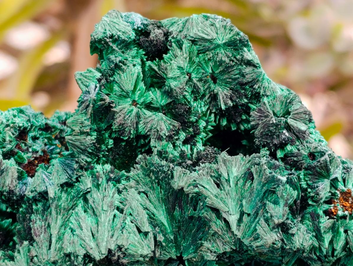 Natural Silky Malachite Specimens x 6 From Kasompe, Congo