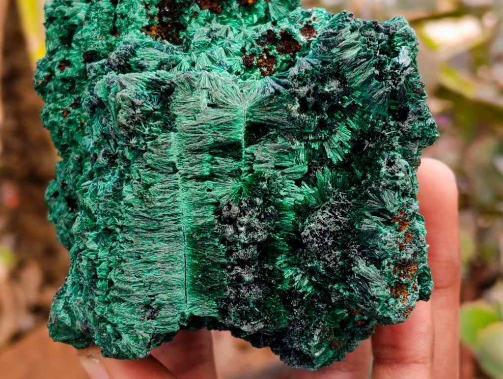Natural Silky Malachite Specimens x 6 From Kasompe, Congo