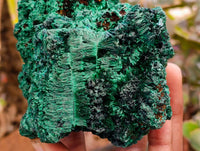 Natural Silky Malachite Specimens x 6 From Kasompe, Congo