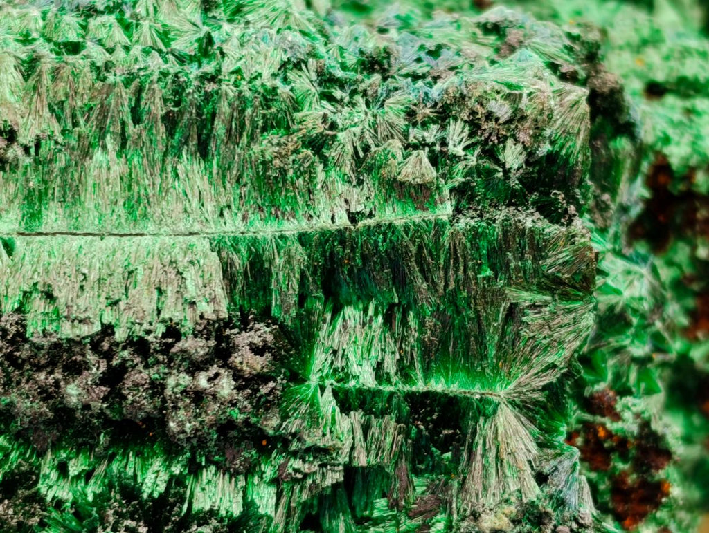 Natural Silky Malachite Specimens x 6 From Kasompe, Congo