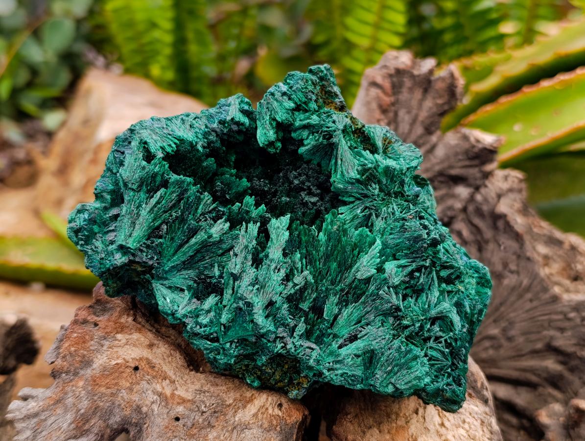 Natural Silky Malachite Specimens x 6 From Kasompe, Congo