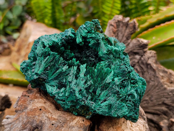 Natural Silky Malachite Specimens x 6 From Kasompe, Congo