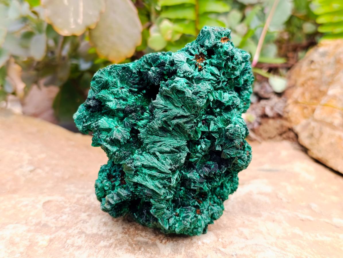 Natural Silky Malachite Specimens x 6 From Kasompe, Congo