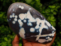 Polished Snow Orca Agate Standing Free Forms x 2 From West Coast, Madagascar