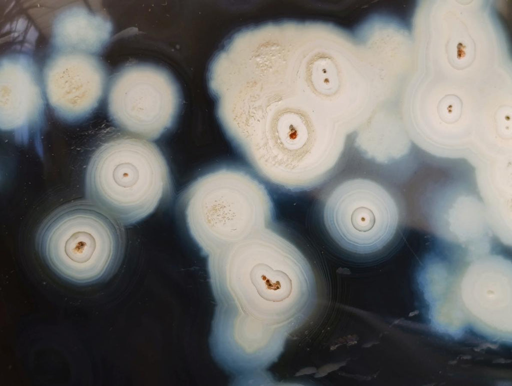 Polished Snow Orca Agate Standing Free Forms x 2 From West Coast, Madagascar