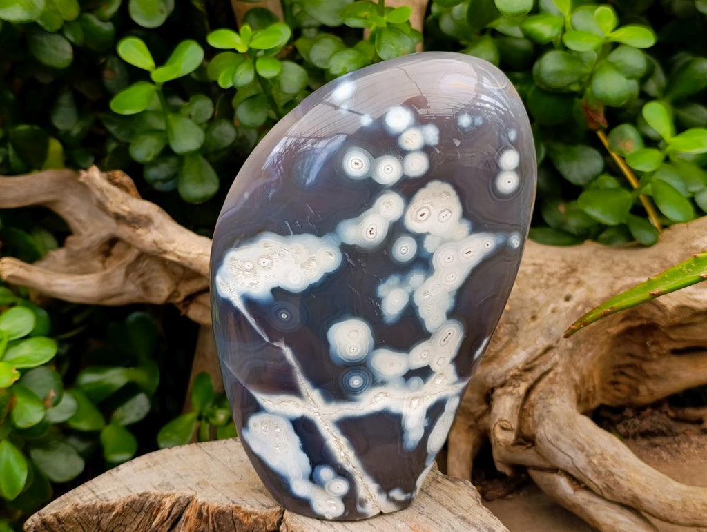 Polished Snow Orca Agate Standing Free Forms x 2 From West Coast, Madagascar