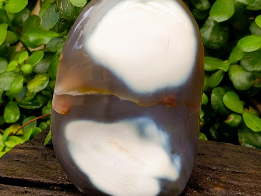 Polished Snow Orca Agate Standing Free Forms x 2 From West Coast, Madagascar