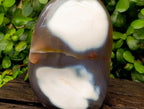 Polished Snow Orca Agate Standing Free Forms x 2 From West Coast, Madagascar
