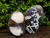Polished Snow Orca Agate Standing Free Forms x 2 From West Coast, Madagascar