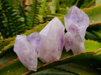 Natural Jacaranda Amethyst Crystals and Clusters x 12 From Mumbwa, Zambia