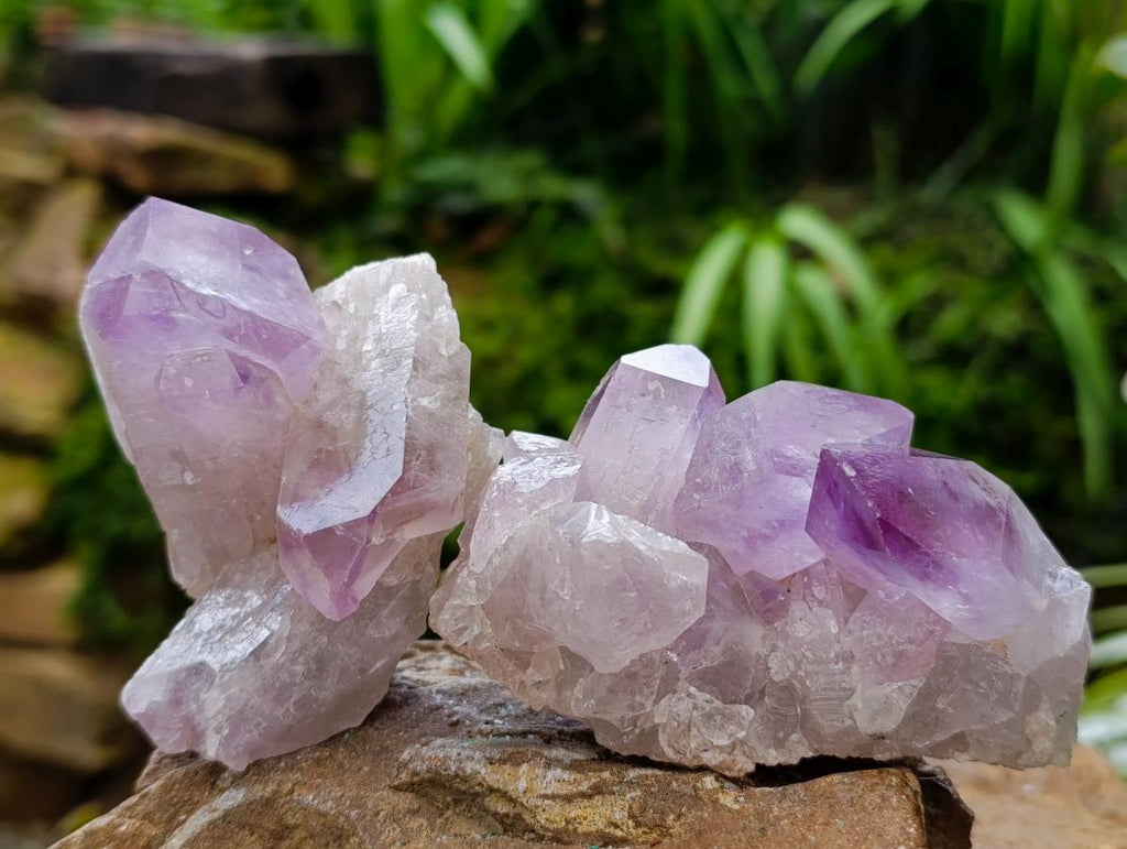 Natural Jacaranda Amethyst Crystals and Clusters x 12 From Mumbwa, Zambia