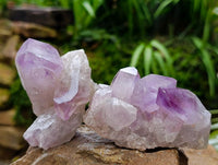 Natural Jacaranda Amethyst Crystals and Clusters x 12 From Mumbwa, Zambia