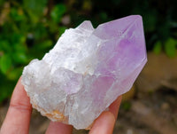 Natural Jacaranda Amethyst Crystals and Clusters x 12 From Mumbwa, Zambia