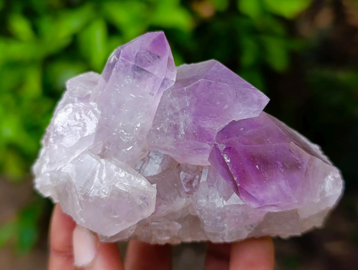 Natural Jacaranda Amethyst Crystals and Clusters x 12 From Mumbwa, Zambia