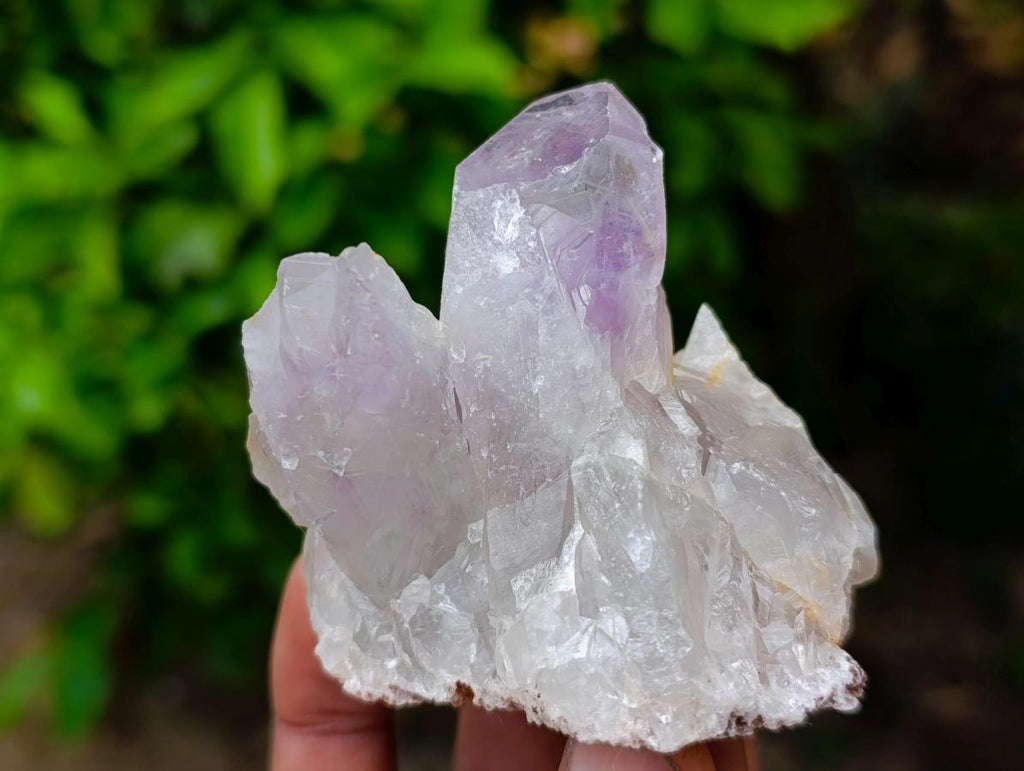 Natural Jacaranda Amethyst Crystals and Clusters x 12 From Mumbwa, Zambia