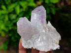 Natural Jacaranda Amethyst Crystals and Clusters x 12 From Mumbwa, Zambia