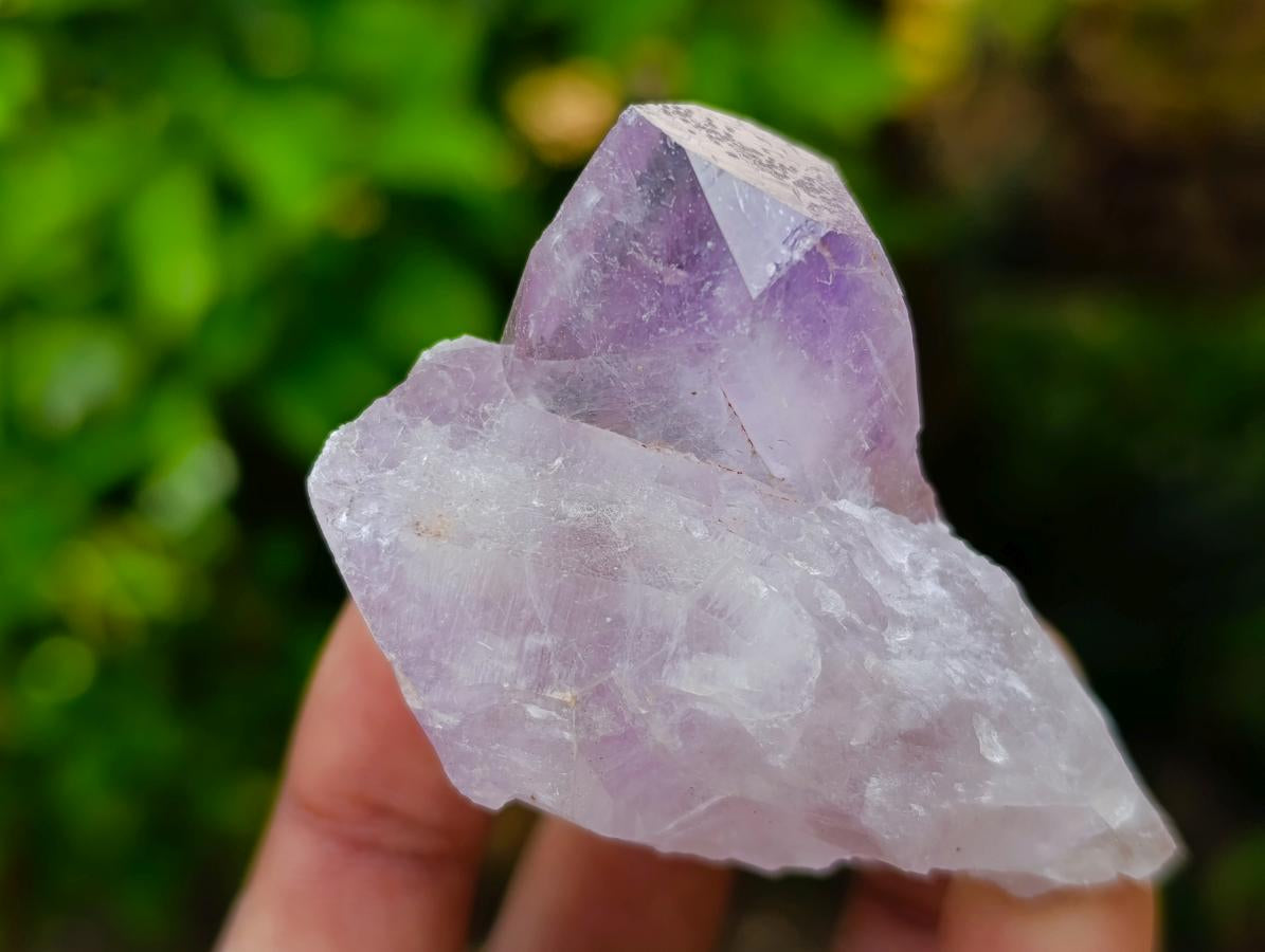 Natural Jacaranda Amethyst Crystals and Clusters x 12 From Mumbwa, Zambia