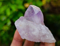 Natural Jacaranda Amethyst Crystals and Clusters x 12 From Mumbwa, Zambia