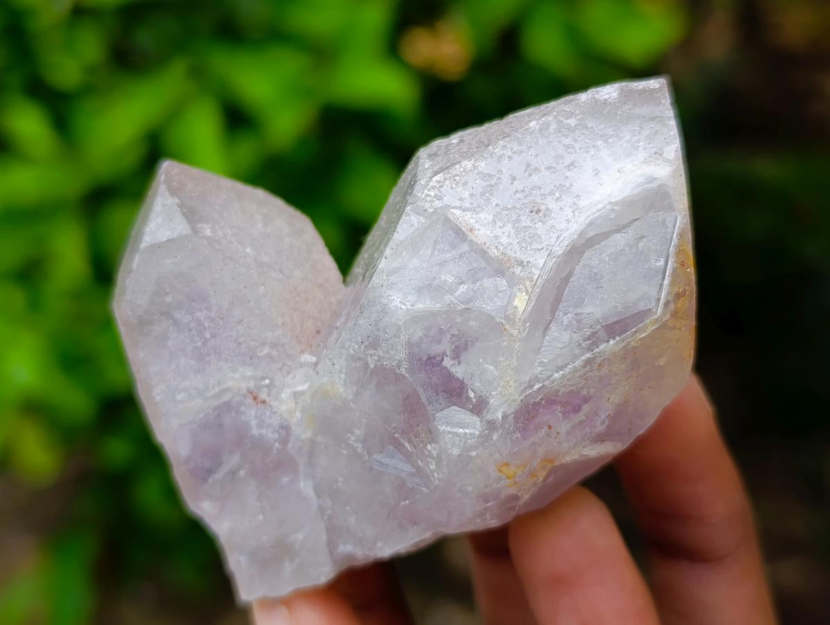Natural Jacaranda Amethyst Crystals and Clusters x 12 From Mumbwa, Zambia