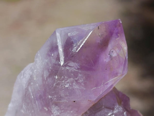 Natural Jacaranda Amethyst Crystals and Clusters x 12 From Mumbwa, Zambia