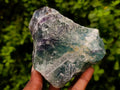 Natural Watermelon Fluorite Cobbed Specimens x 5 From Uis, Namibia