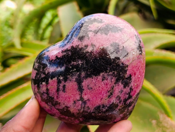 Polished Rhodonite Hearts x 2 From Ambindavato, Madagascar