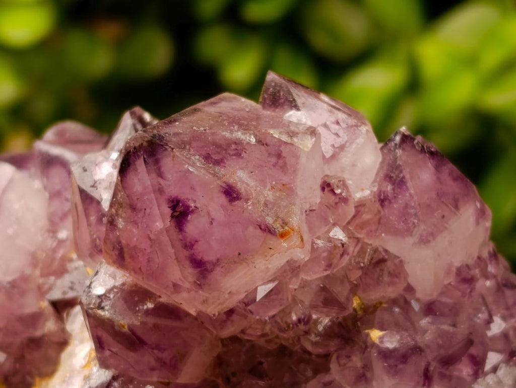 Natural Dark Purple Amethyst Quartz Cluster x 1 From Boekenhouthoek, South Africa