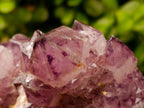 Natural Dark Purple Amethyst Quartz Cluster x 1 From Boekenhouthoek, South Africa