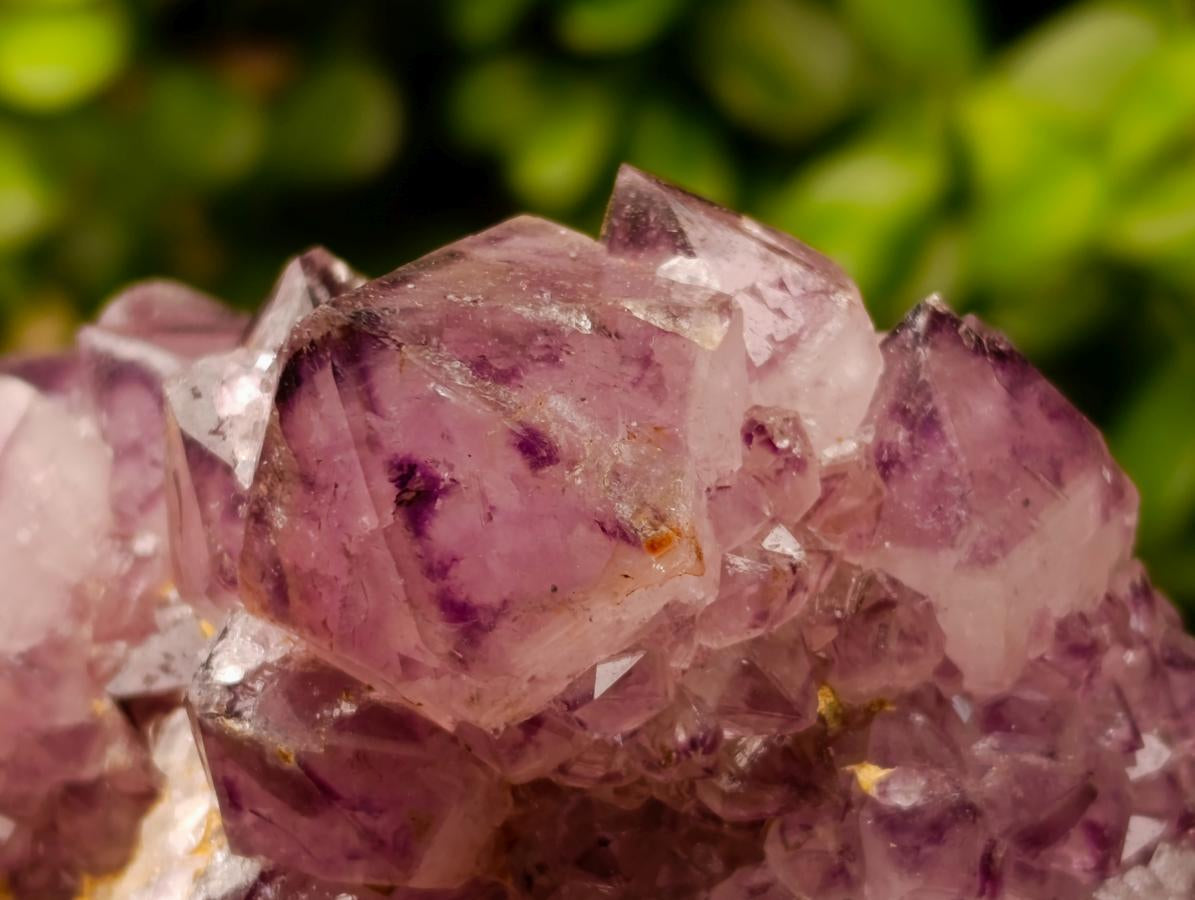 Natural Dark Purple Amethyst Quartz Cluster x 1 From Boekenhouthoek, South Africa