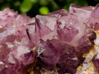 Natural Dark Purple Amethyst Quartz Cluster x 1 From Boekenhouthoek, South Africa