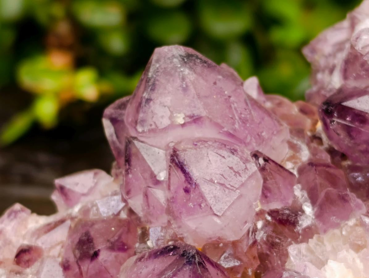 Natural Dark Purple Amethyst Quartz Cluster x 1 From Boekenhouthoek, South Africa