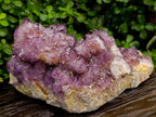 Natural Dark Purple Amethyst Quartz Cluster x 1 From Boekenhouthoek, South Africa