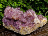Natural Dark Purple Amethyst Quartz Cluster x 1 From Boekenhouthoek, South Africa