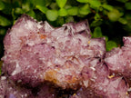 Natural Dark Purple Amethyst Quartz Cluster x 1 From Boekenhouthoek, South Africa