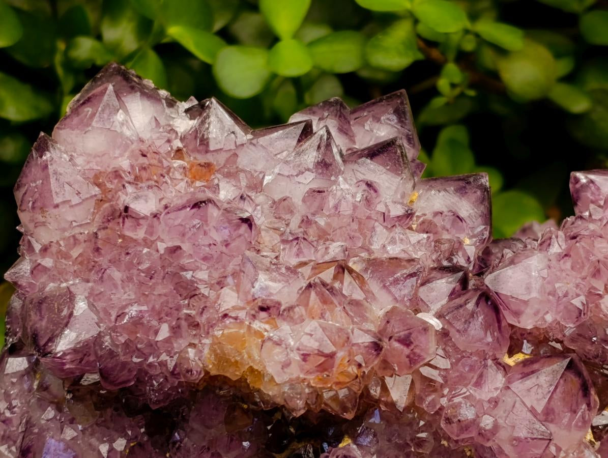 Natural Dark Purple Amethyst Quartz Cluster x 1 From Boekenhouthoek, South Africa