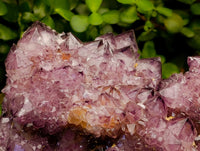 Natural Dark Purple Amethyst Quartz Cluster x 1 From Boekenhouthoek, South Africa