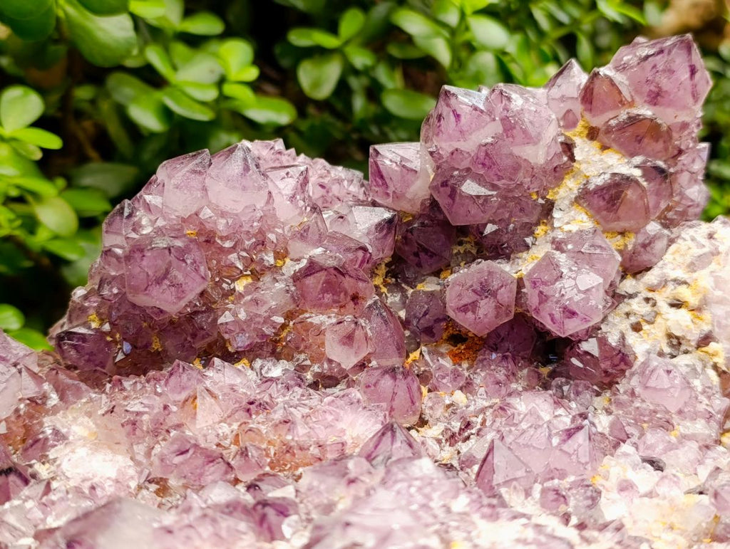 Natural Dark Purple Amethyst Quartz Cluster x 1 From Boekenhouthoek, South Africa