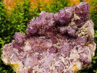 Natural Dark Purple Amethyst Quartz Cluster x 1 From Boekenhouthoek, South Africa